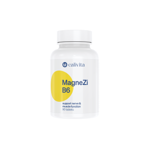MagneZi B6