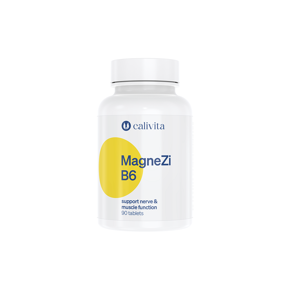 MagneZi B6